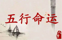 1991年2月的八字分析，分析1991年2月出生的人的命运
