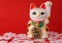 饭馆放招财猫的风水怎么布置 如何选择和摆放招财猫