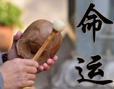 2023年9月八字分析，八字给我们带来了什么启示