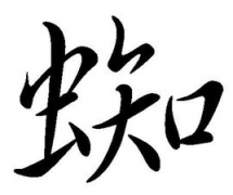蜘是什么 关于蜘的知识大全分享