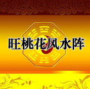 2023年很灵的属牛旺桃花风水布局 属牛的单身狗都赶紧看过来