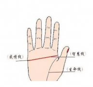 从感情线看爱情运势 你知道哪些方法可以看感情线