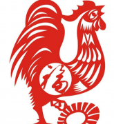 属鸡今年运势 事业发展顺利 需注意身体健康